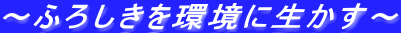 〜ふろしきを環境に生かす〜