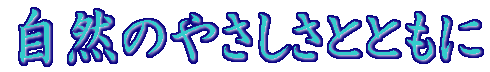 R̂₳ƂƂ
