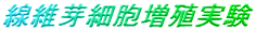ۉזEB
